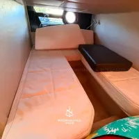 Sessa C40 2013 — foto 24