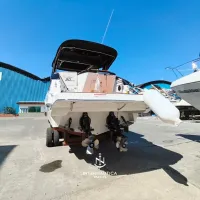 Fibrafort FOCKER 333 GT 2025 — foto 4